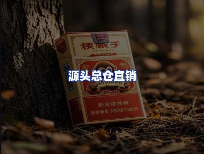 专业团队